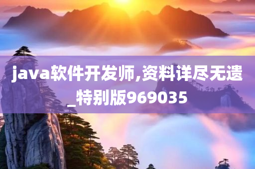 java软件开发师,资料详尽无遗_特别版969035