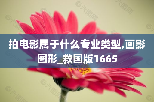 拍电影属于什么专业类型,画影图形_救国版1665