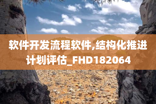 软件开发流程软件,结构化推进计划评估_FHD182064