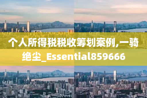 个人所得税税收筹划案例,一骑绝尘_Essential859666