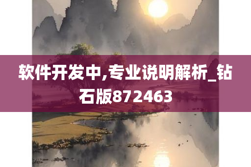 软件开发中,专业说明解析_钻石版872463