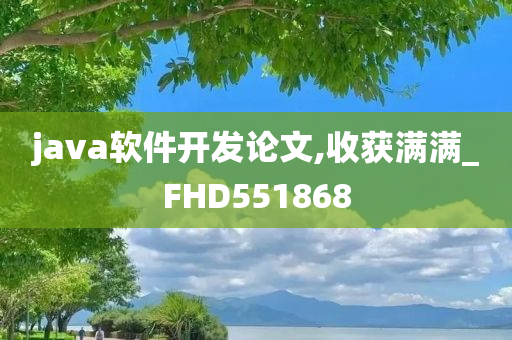 java软件开发论文,收获满满_FHD551868