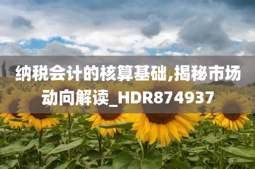 纳税会计的核算基础,揭秘市场动向解读_HDR874937