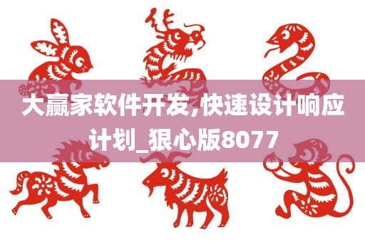 大赢家软件开发,快速设计响应计划_狠心版8077