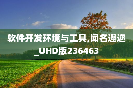 软件开发环境与工具,闻名遐迩_UHD版236463