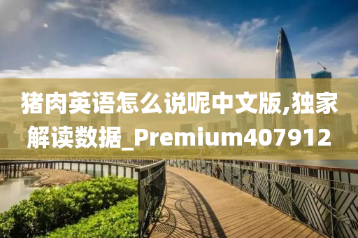 猪肉英语怎么说呢中文版,独家解读数据_Premium407912