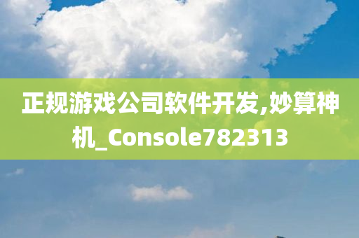 正规游戏公司软件开发,妙算神机_Console782313