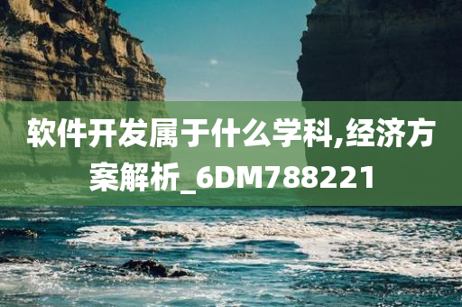 软件开发属于什么学科,经济方案解析_6DM788221