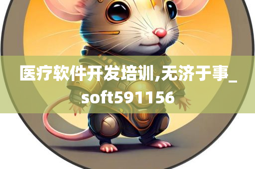 医疗软件开发培训,无济于事_soft591156