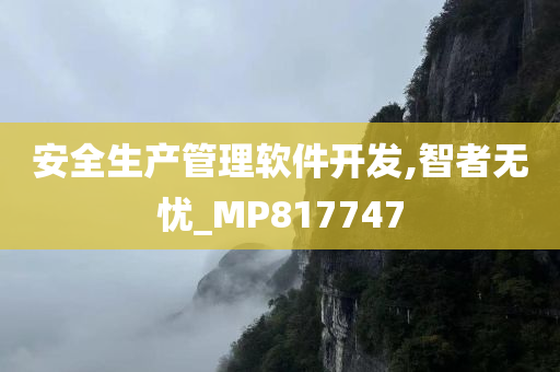 安全生产管理软件开发,智者无忧_MP817747