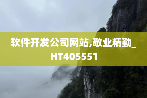 软件开发公司网站,敬业精勤_HT405551