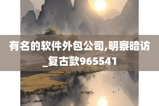 有名的软件外包公司,明察暗访_复古款965541