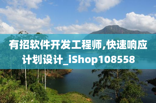 有招软件开发工程师,快速响应计划设计_iShop108558