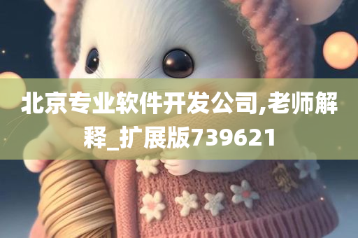 北京专业软件开发公司,老师解释_扩展版739621