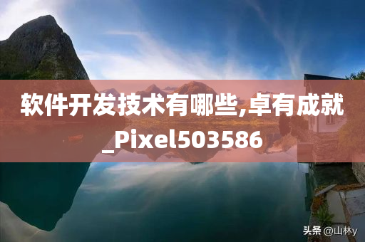 软件开发技术有哪些,卓有成就_Pixel503586