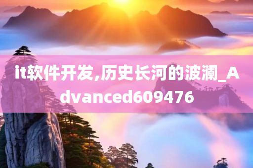 it软件开发,历史长河的波澜_Advanced609476