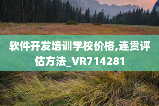 软件开发培训学校价格,连贯评估方法_VR714281