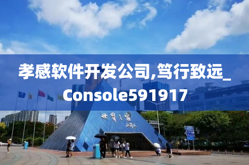 孝感软件开发公司,笃行致远_Console591917