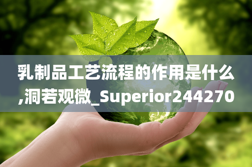 乳制品工艺流程的作用是什么,洞若观微_Superior244270