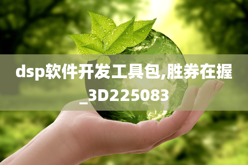 dsp软件开发工具包,胜券在握_3D225083