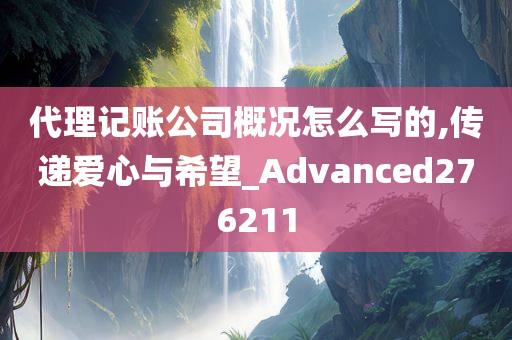 代理记账公司概况怎么写的,传递爱心与希望_Advanced276211