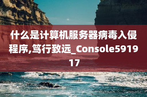 什么是计算机服务器病毒入侵程序,笃行致远_Console591917