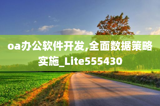 oa办公软件开发,全面数据策略实施_Lite555430