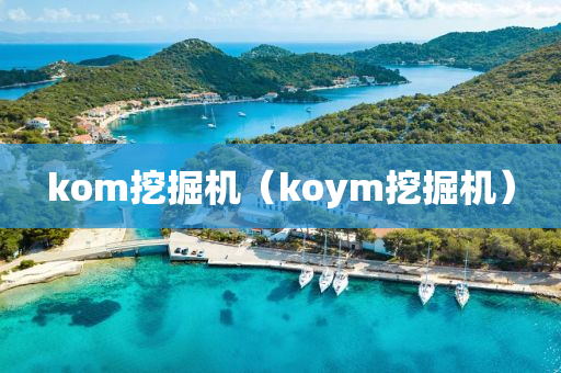 kom挖掘机（koym挖掘机）