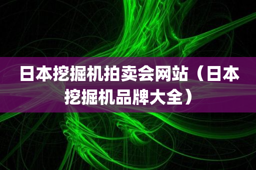 日本挖掘机拍卖会网站（日本挖掘机品牌大全）