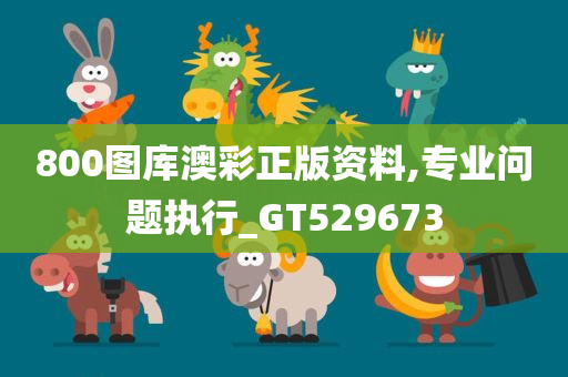 800图库澳彩正版资料,专业问题执行_GT529673