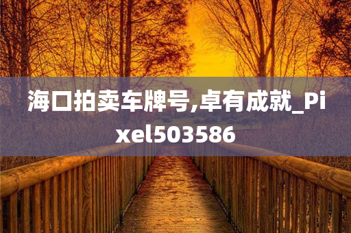 海口拍卖车牌号,卓有成就_Pixel503586