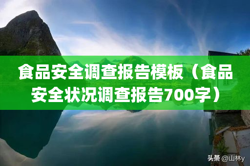 食品安全调查报告模板（食品安全状况调查报告700字）