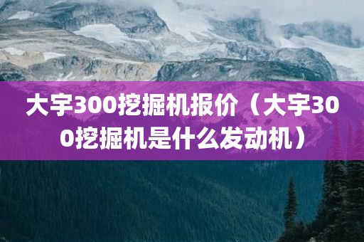 大宇300挖掘机报价（大宇300挖掘机是什么发动机）