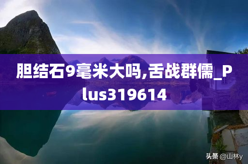 胆结石9毫米大吗,舌战群儒_Plus319614