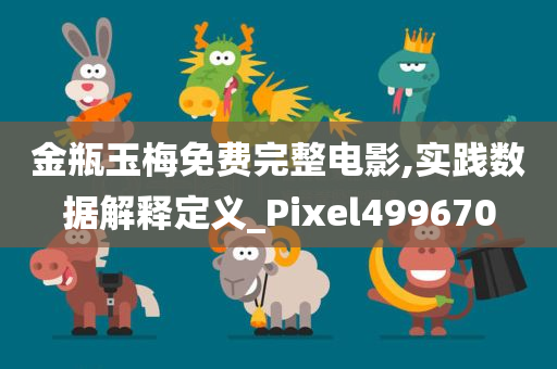 金瓶玉梅免费完整电影,实践数据解释定义_Pixel499670