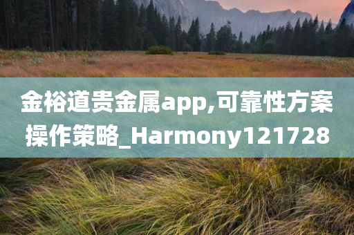 金裕道贵金属app,可靠性方案操作策略_Harmony121728