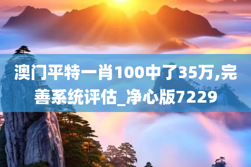 澳门平特一肖100中了35万,完善系统评估_净心版7229