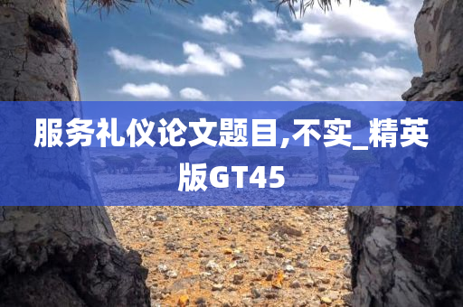 服务礼仪论文题目,不实_精英版GT45