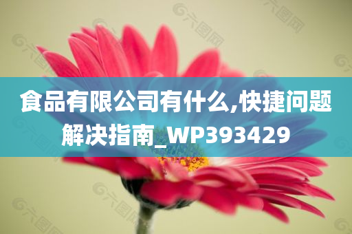 食品有限公司有什么,快捷问题解决指南_WP393429