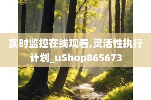 实时监控在线观看,灵活性执行计划_uShop865673