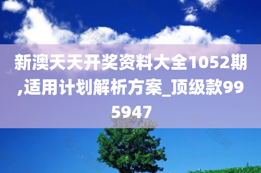 新澳天天开奖资料大全1052期,适用计划解析方案_顶级款995947