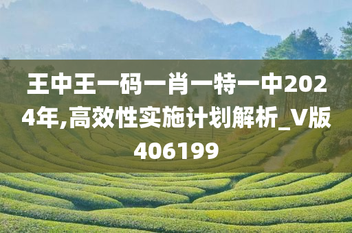 王中王一码一肖一特一中2024年,高效性实施计划解析_V版406199