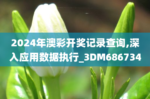 2024年澳彩开奖记录查询,深入应用数据执行_3DM686734