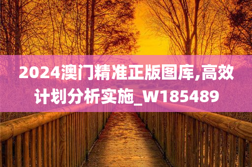 2024澳门精准正版图库,高效计划分析实施_W185489