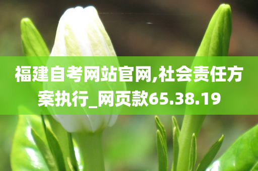 福建自考网站官网,社会责任方案执行_网页款65.38.19