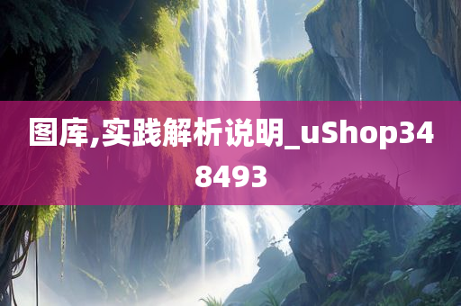 图库,实践解析说明_uShop348493