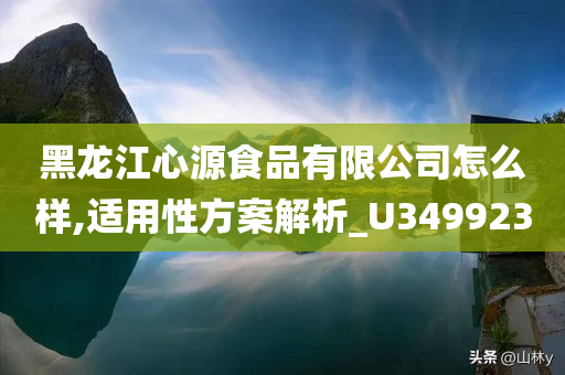 黑龙江心源食品有限公司怎么样,适用性方案解析_U349923