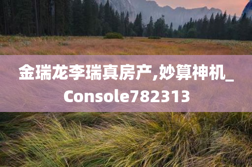 金瑞龙李瑞真房产,妙算神机_Console782313