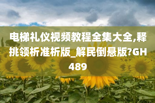 电梯礼仪视频教程全集大全,释挑领析准析版_解民倒悬版?GH489