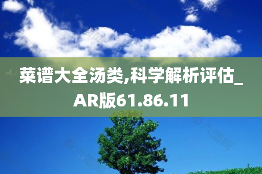 菜谱大全汤类,科学解析评估_AR版61.86.11